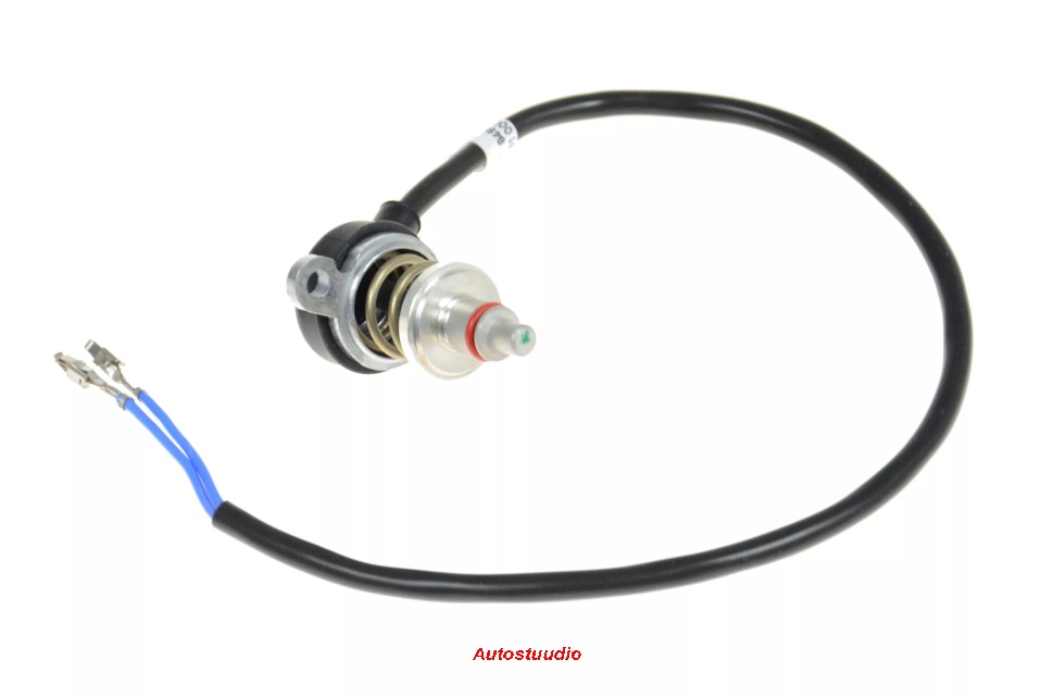 Ülekuumenemisandur D9W, D10W 12/24V