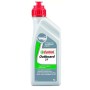 Castrol Outboard 2T mootoriõli, 1L