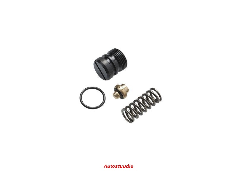Surve reguleerimisventiil Thermo 230-350, DBW 2020/300/350
